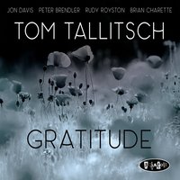 Terrain - Tom Tallitsch & Jon Davis & Peter Brendler & Rudy Royston