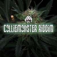 Mr. Collie Rmx - Cali P & Mitch & Mykal Rose