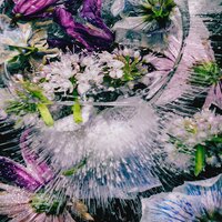 we’re dying - Cherry Coke & Paloalto & Glam Gould