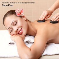 Susurros Tranquilos - Academia de Música de la Música Ambiente