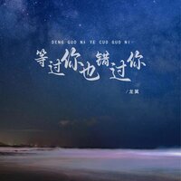 等过你也错过你 - 龙翼