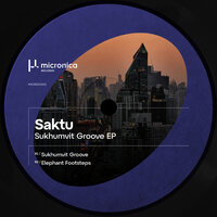 Elephant Footsteps - Saktu