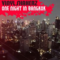 One Night in Bangkok - Vinylshakerz