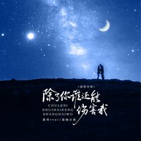 除了你谁还能伤害我 - 基地小虎 & 薇哥Vear