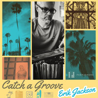 Catch A Groove - Erik Jackson