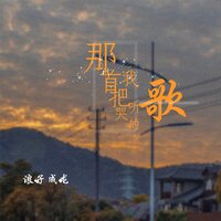 那首把我听哭的歌 - 浪子成龙