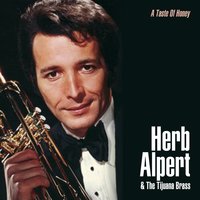 The Girl from Ipanema - Herb Alpert