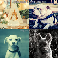 Fiery Ambiance for Lonely Dogs - Dog Music Lounge