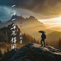 一年一年不得闲 - 辰雨青 & DJLHN