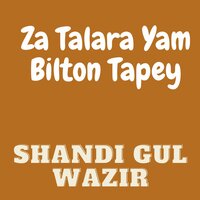 Za Talara Yam Bilton Tapey - Shandi Gul Wazir