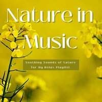 Nature in Music - Linda Beldad & Amanda Bray