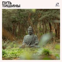 Медитация для Начинающих - Музыка для медитации & Медитация разума & Meditation & Медитативные звуки
