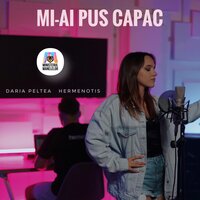 Mi-ai pus capac - HERMENOTIS & Daria Peltea & Ministerul Manelelor