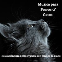 Melodías Peludas: Piano para Mascotas - The Cat Relaxer & Música para dormir Gatos & Música Relajante para Perros