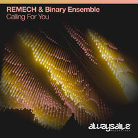 Calling For You - ReMech & Binary Ensemble