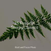 Keep It Gentle - Regengeräusche & Shakuhachi Sakano & Sleep Music