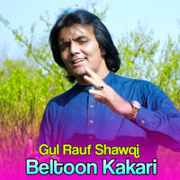 Beltoon Kakari - Gul Rauf Shawqi