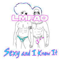 Sexy And I Know It - LMFAO & Audiobot