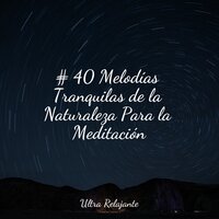 Zen De Ensueño - Meditacionessa & Meditacion Budista Maestros & El hada de las canciones de cuna