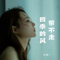 带不走四季的风 - 洋澜一