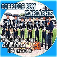 El Palomo Blanco - Jose Luis Duval