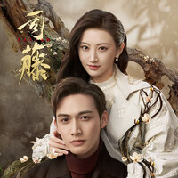 微光微凉 - 叶里