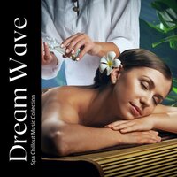Calm Spa Music - Spa Chillout Music Collection