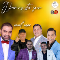 DE S-AR DA MOARTEA PE BANI - Florin Salam & Adrian Minune & Nicolae Guta & Jean de la Craiova & Vali Vijelie & Narcis