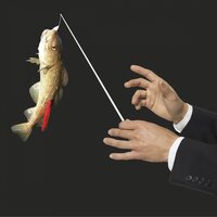 Air on a Heart String - Harald Winkler