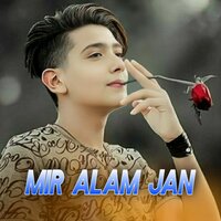 Pa Zhwandon De Wo Zra Sabr - Mir Alam Jan
