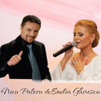 Pe la nunti Ghoerghe-i boier - Nicu Paleru & Emilia Ghinescu
