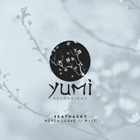 Never Leave - Seathasky