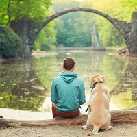 Soft Tunes for Serenity - Relax & Relaxed and Peaceful Zen Music & Tibetan Singing Bowls for Relaxation