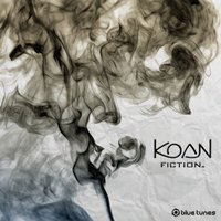 False Symmetry - Koan
