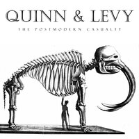 Home - Quinn & Levy