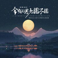 今夜的月亮圆不圆 - 魏佳艺 & 王振宇 & 蒋蕙林 & 阿国哥