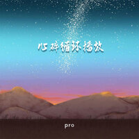 心碎循环播放 - Pro