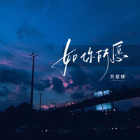如你所愿 - 苏星婕