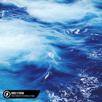 Bird’s Poem - Donovan's Playground & Dom B & lofi mage