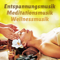 Meditationsmusik - Entspannungsmusik & Meditationsmusik & Wellnessmusik
