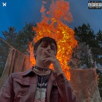 Звезда - Padillion