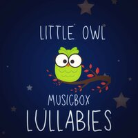 For Elise - Little Owl