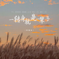 一转身就是一辈子 - 蒋蕙林