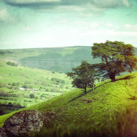 Station Part Two - Last Days