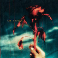 Кипарисы - Егор Сесарев