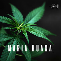 Maria Huana - Sash_S & René Groose & DJ Burton