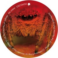 Weight Of The Hammer - Adam Jay