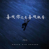喜欢你还是喜欢执着 - Pro