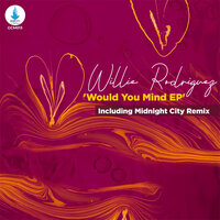 Would You Mind - Willie Rodríguez