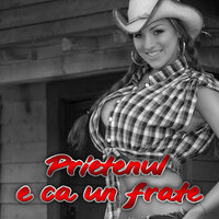 Stai cu mine - Stefan de la Barbulesti & Narcis & Narcisa & Costel Ciofu & Cristi Dorel & Gabita de la Buzau